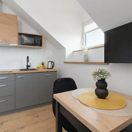 Apartament Comfortable Near The Baltic Sea By Renters Władysławowo